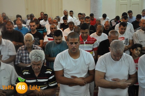 tarawe7 nozhas j (8).JPG